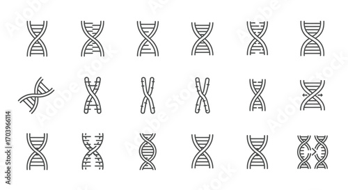 Collection of stylized dna double helix icons representing genetics science and biotechnology vector