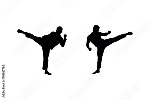 two martial artists practicing kicks in dynamic poses silhouette