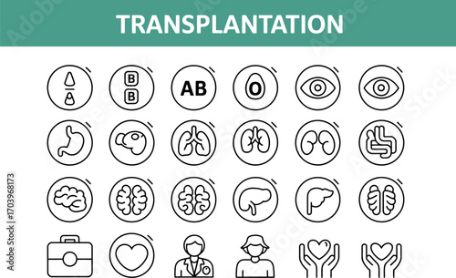 Organ transplantation icons set medical health vector graphic