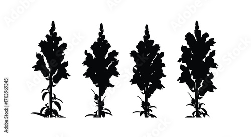 Silhouette collection of four tall flowering plants with detailed petals and stems isolated vector
