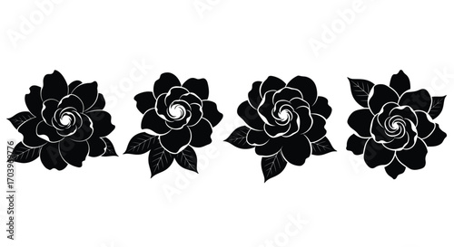 Dark black succulent plants collection detailed botanical elements isolated on vector