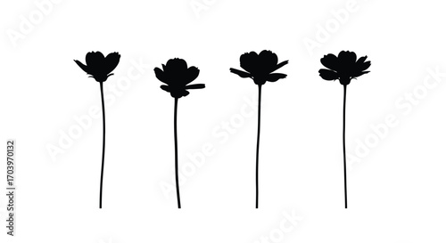 Four delicate black flower silhouettes on a clean delicate botanical art vector