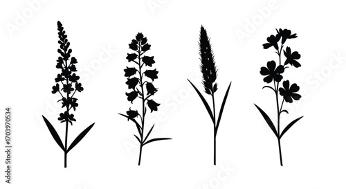 Set of four delicate black flower silhouettes against botanical elements vector