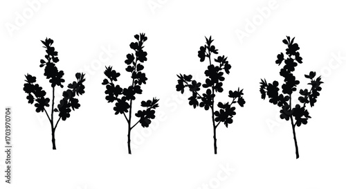Set of four black silhouettes of delicate floral branches with leaves and small blooms isolated vector