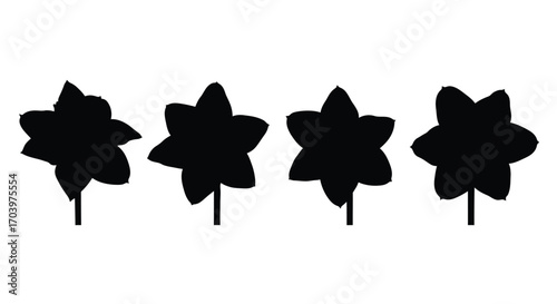 Four silhouetted daffodil flowers with stems artistic and stylized botanical shapes vector