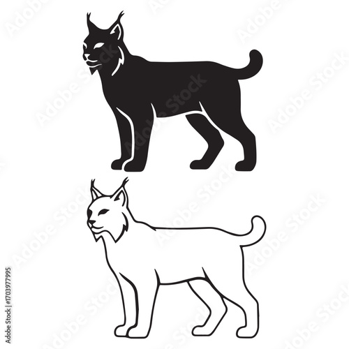 Detailed Lynx Silhouette & Lynx Lineart – Lynx Vector Template Highlighting Natural Features – Lynx Illustration – Silhouette and Lineart Set of Lynx