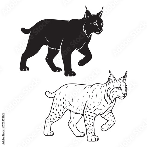 Strong Lynx Silhouette & Lynx Lineart – Lynx Vector Artwork with Distinctive Ear Tufts – Black Vector of Lynx – Vector Set of Lynx