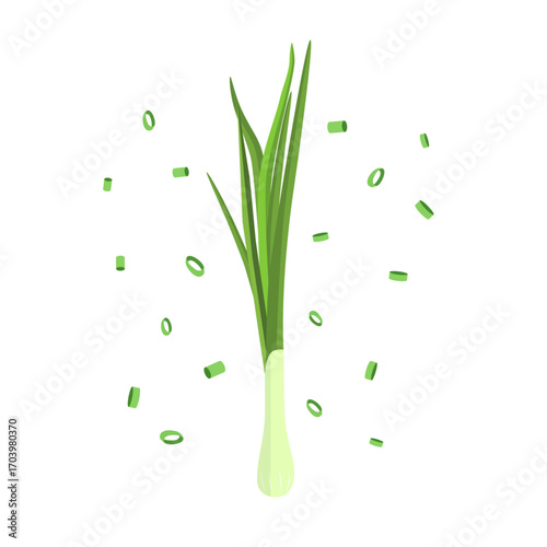 Adobe Illustrator Artwork