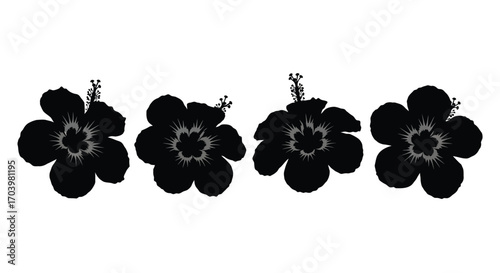 Four dark silhouette hibiscus flowers with delicate petals and stamens isolated vector