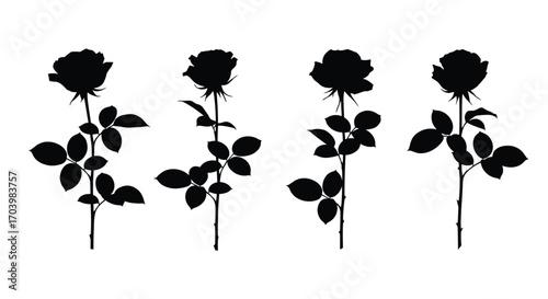 Four silhouette rose stems with leaves elegant black botanical forms delicate floral design vector