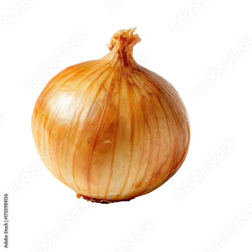 Single, round onion, light brown/tan with subtle darker stripes, centered against a black background