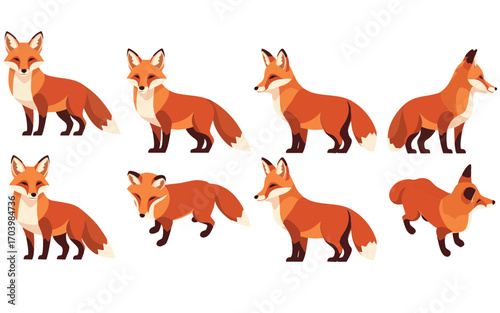 Minimalist fox vector in multiple angles