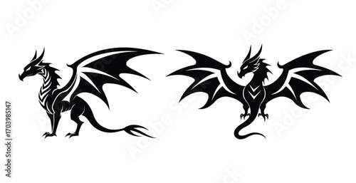 vector image of a dragon