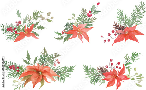 Christmas Watercolor Floral Arrangement – Poinsettia, Holly, Mistletoe,  Pine Branches. Hand drawn illustration.