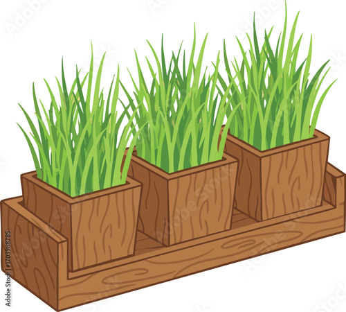 Green grass in wooden pots arranged in wooden tray natural indoor gardening vector illustration