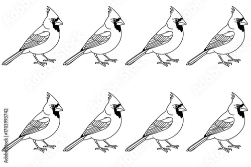 Eight identical cardinal birds lined up in a repeating pattern, simple line art.