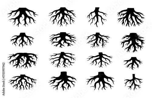 Collection of Black Tree Root Silhouettes on White Background