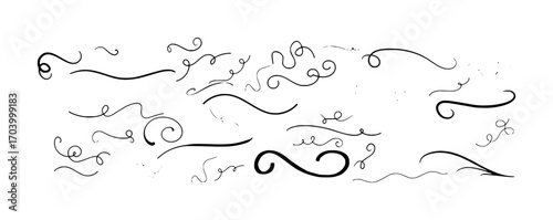 Collection of Hand-Drawn Black Swirls and Flourishes on White Background