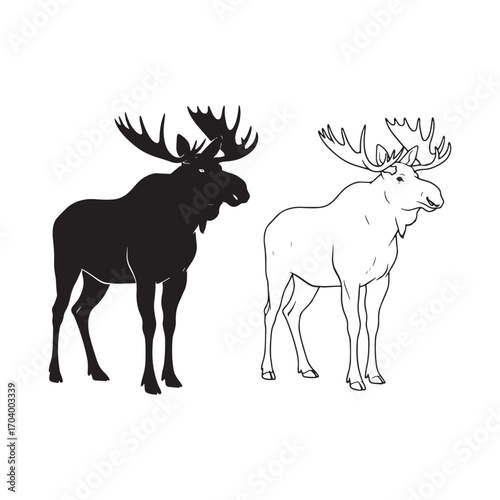 Refined Moose Silhouette & Moose Lineart – Moose Vector Artwork Featuring Clean Edge Design – Moose Illustration – Silhouette and Lineart Set of Moose
