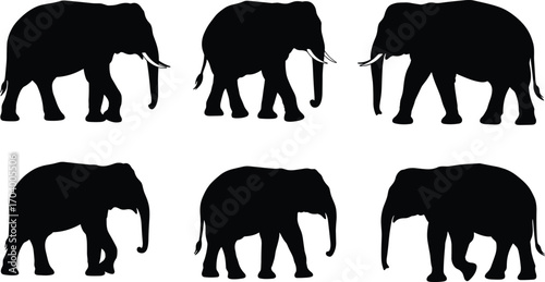 Set of six elephant silhouette vector illustrations in different walking poses, ideal for wildlife, safari, or nature-themed graphic design.