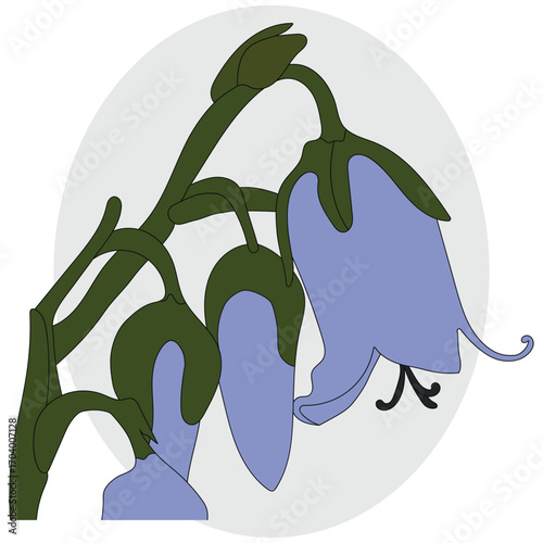 Delicate bluebell flowers with soft purple-blue petals and green stems, gracefully hanging in clusters, perfect for nature, floral, or botanical designs.
