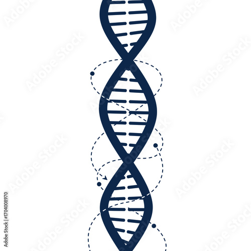 A scientific illustration of a DNA double helix, symbolizing genetic code, heredity, and the spiral of life