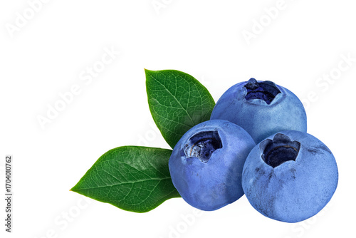 Three blueberries with two green leaves isolated on transparent background for design. Ripe fresh juicy blue berries for cooking