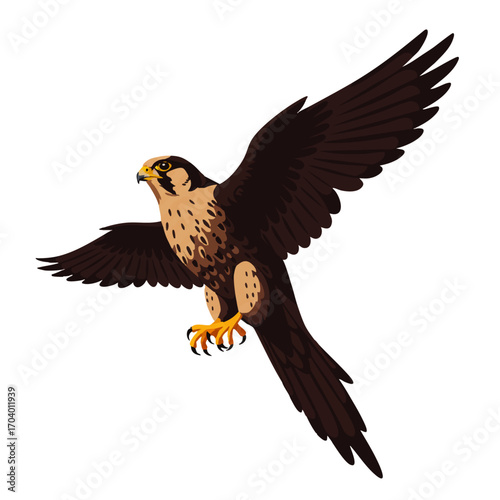 Majestic peregrine falcon illustration in mid-flight with wings spread, showing detailed brown plumage and sharp yellow talons.