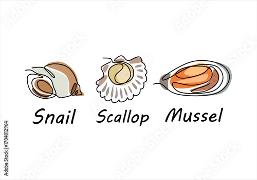Seashells Snail Scallop and Mussel. line icon-continuous line drawing. Editable stroke. 