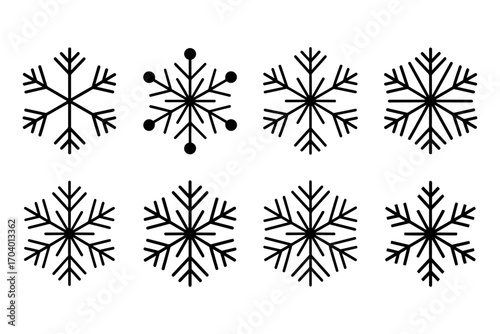 collection of unique winter season snowflakes