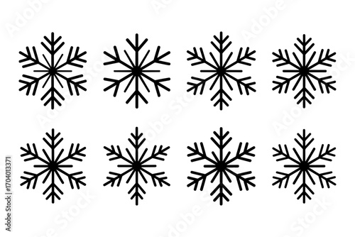 collection of unique winter season snowflakes
