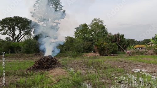 bonfire with smoke in the field, Thailand 
