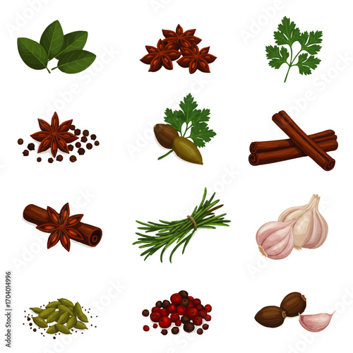 Assortment of Culinary Spices and Herbs for Flavorful Cooking