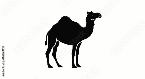 Black Silhouette of a Standing Camel with Distinctive Hump and Tail