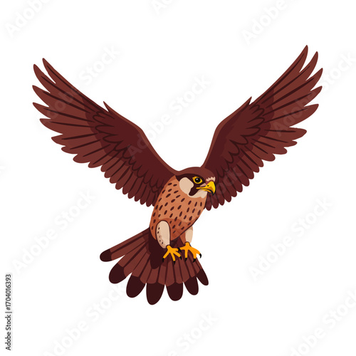 Brown Falcon in Flight, Wings Spread Wide, Detailed Feathers, Sharp Talons