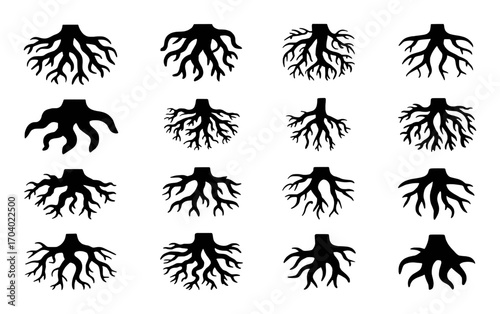 Collection of Black Silhouette Tree Roots on White Background