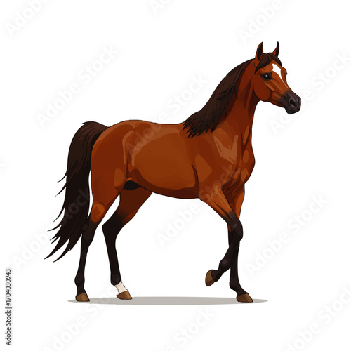 Elegant bay Arabian horse with a dark mane and tail, walking gracefully.