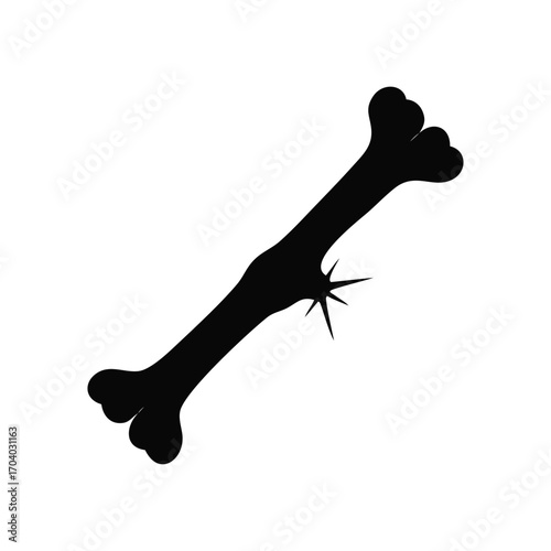 dog bone isolated on white