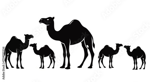 Stylized Black Dromedary Camel Silhouettes: Adult and Four Calves Standing in Profile