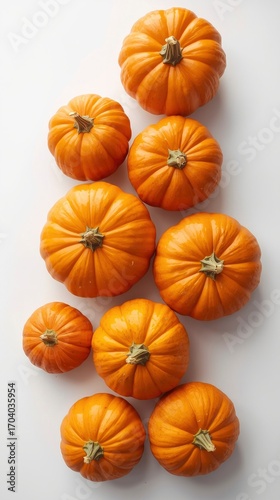 Nine Mini Pumpkins Arranged on White Background - Autumn Harvest Still Life