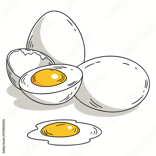 Whole eggs, cracked egg half, and fried egg on white background chicken egg white egg