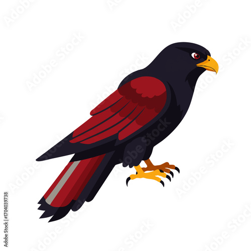Stylized illustration of a majestic hawk with black and deep red plumage, perched with a fierce gaze.