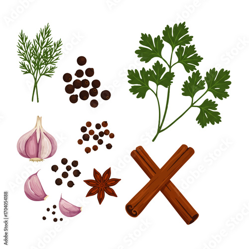 Illustrated Set of Aromatic Spices and Herbs for Cooking and Seasoning