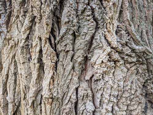 Texture 1