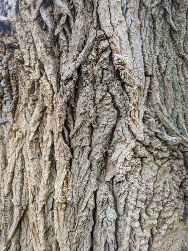 Texture 2