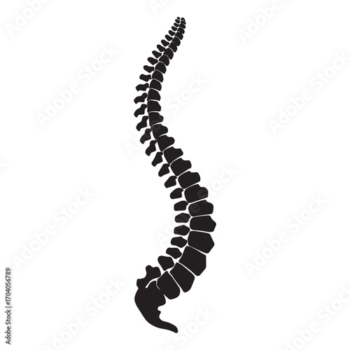 Stylized silhouette of a human vertebral column spine