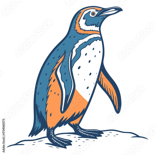 Illustration of a penguin bird