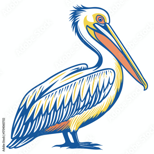 Pelican with large beak