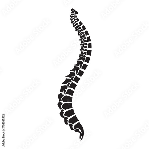 Stylized black and white artistic representation of a human spine