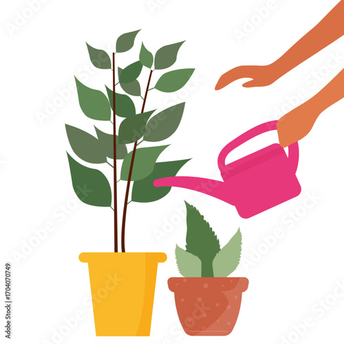 Environmental care and green plants concept with hands protecting nature and earth conservation